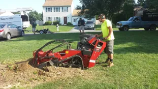 An arborist grinding a stump in Lancaster, PA