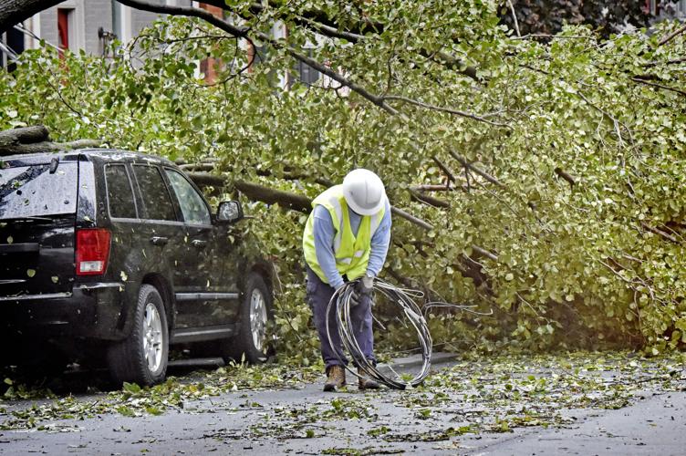 Emergency tree services