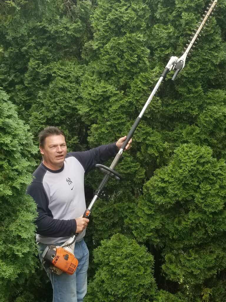 Rob Trimming Arborvitaes